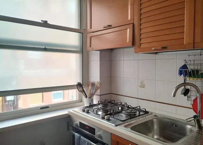 Aurelia Begonia - Family & Business *